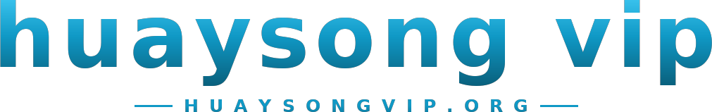 huaysong vip logo